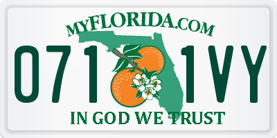 FL license plate 0711VY