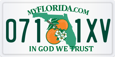 FL license plate 0711XV