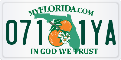 FL license plate 0711YA