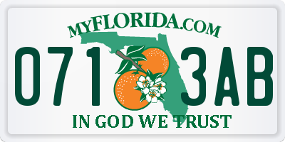FL license plate 0713AB