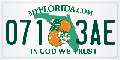 FL license plate 0713AE