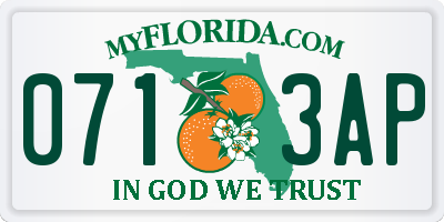 FL license plate 0713AP