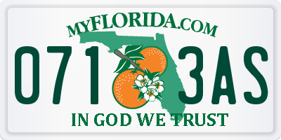 FL license plate 0713AS