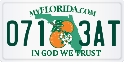 FL license plate 0713AT