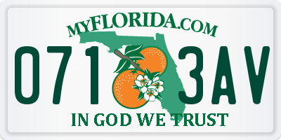 FL license plate 0713AV