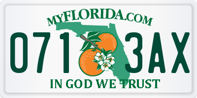 FL license plate 0713AX