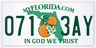 FL license plate 0713AY