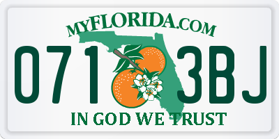 FL license plate 0713BJ