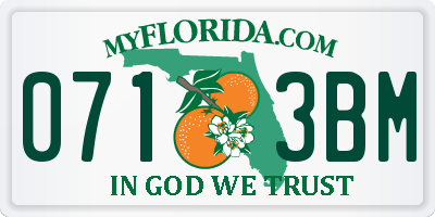 FL license plate 0713BM