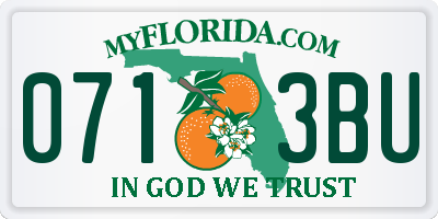 FL license plate 0713BU