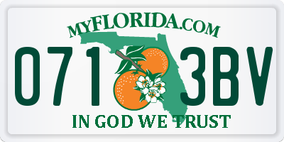 FL license plate 0713BV
