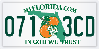 FL license plate 0713CD