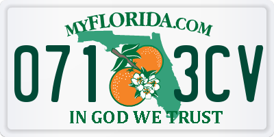 FL license plate 0713CV
