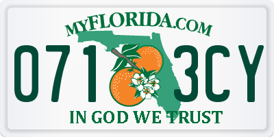 FL license plate 0713CY