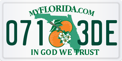 FL license plate 0713DE
