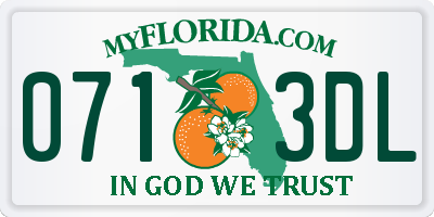 FL license plate 0713DL