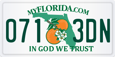 FL license plate 0713DN