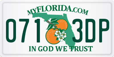 FL license plate 0713DP