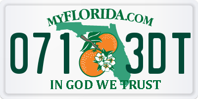 FL license plate 0713DT