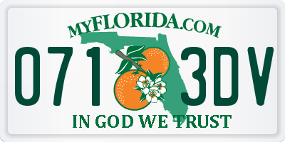 FL license plate 0713DV