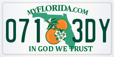 FL license plate 0713DY
