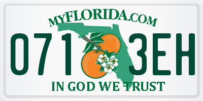 FL license plate 0713EH