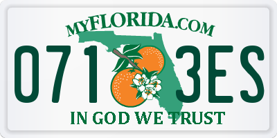 FL license plate 0713ES