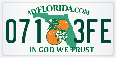 FL license plate 0713FE