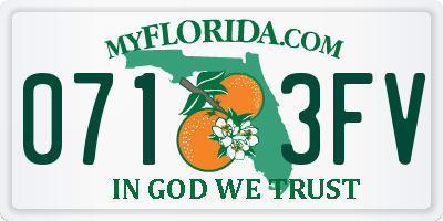 FL license plate 0713FV