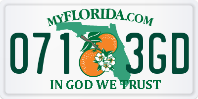 FL license plate 0713GD