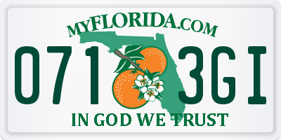 FL license plate 0713GI