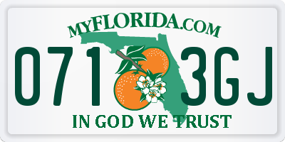 FL license plate 0713GJ