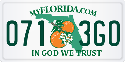 FL license plate 0713GO