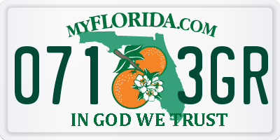 FL license plate 0713GR