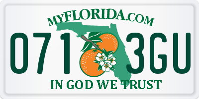 FL license plate 0713GU
