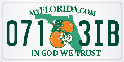 FL license plate 0713IB