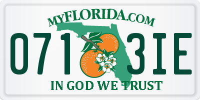 FL license plate 0713IE