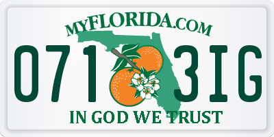 FL license plate 0713IG