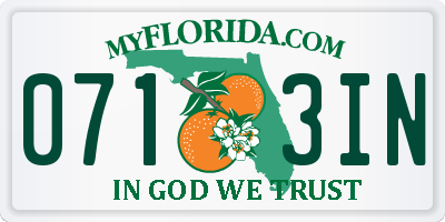 FL license plate 0713IN