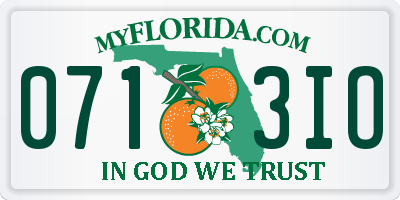 FL license plate 0713IO