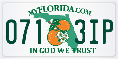 FL license plate 0713IP