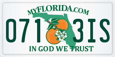 FL license plate 0713IS