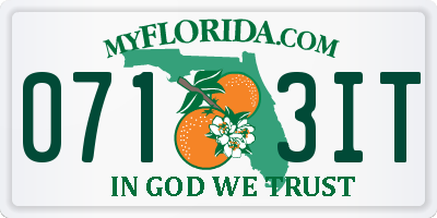 FL license plate 0713IT