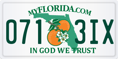 FL license plate 0713IX