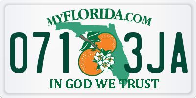 FL license plate 0713JA