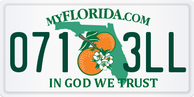 FL license plate 0713LL