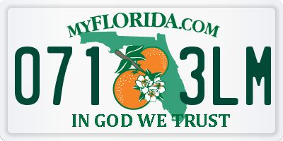 FL license plate 0713LM