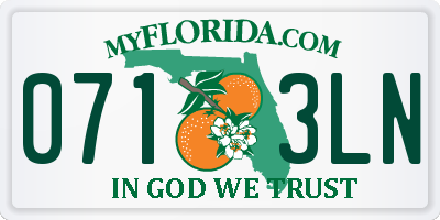 FL license plate 0713LN
