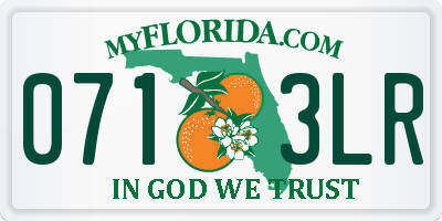FL license plate 0713LR