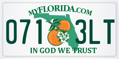 FL license plate 0713LT